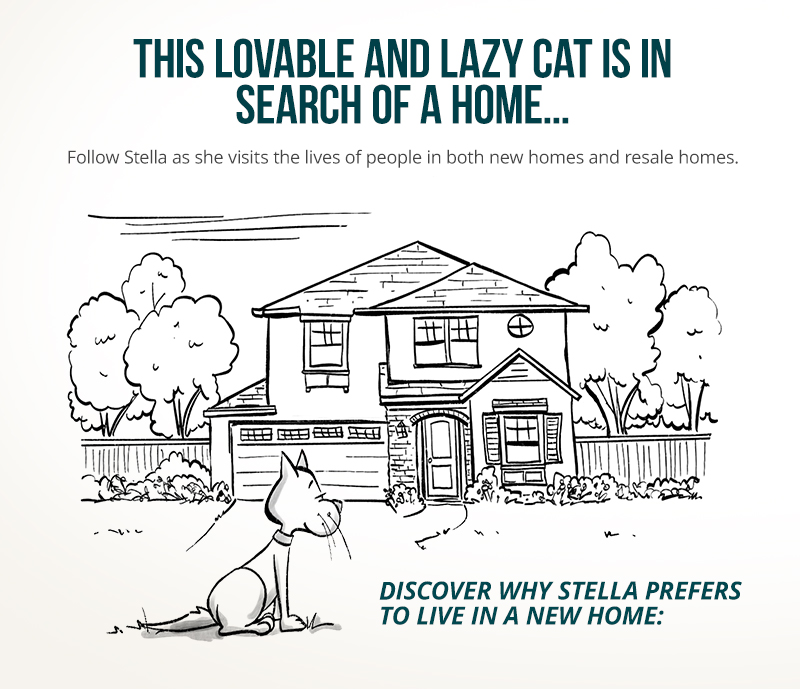 406440 - FLOR - Stella's Old Home vs New - 08-27-19