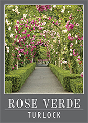 RoseVerde-Center-Logo-blog-logo