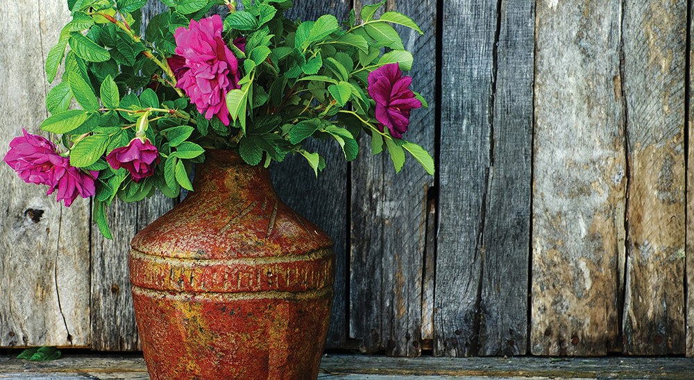 Rosewood – Manteca – SOLD OUT