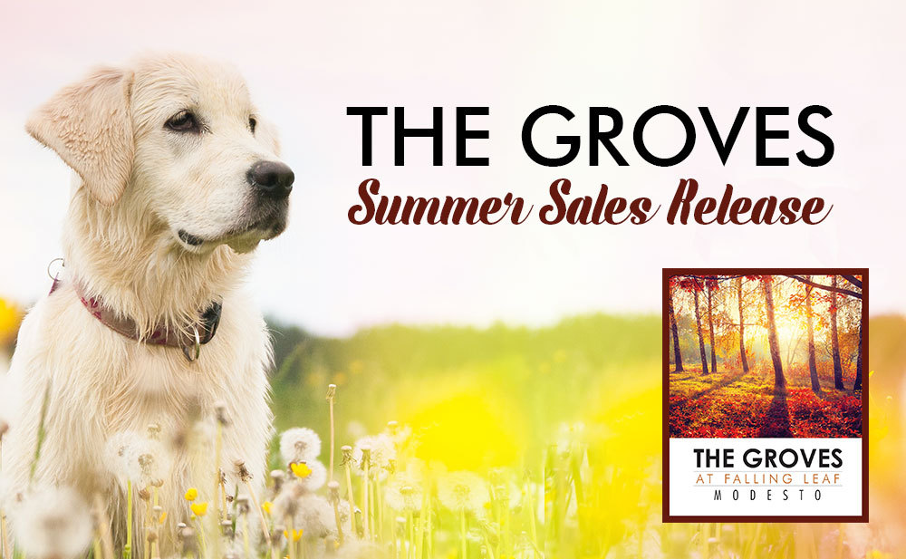 The Groves in Village One