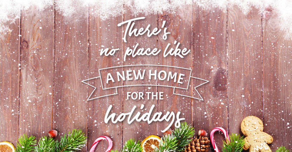 7 HOLIDAY TIPS: DON’T GET YOUR TINSEL IN A TANGLE