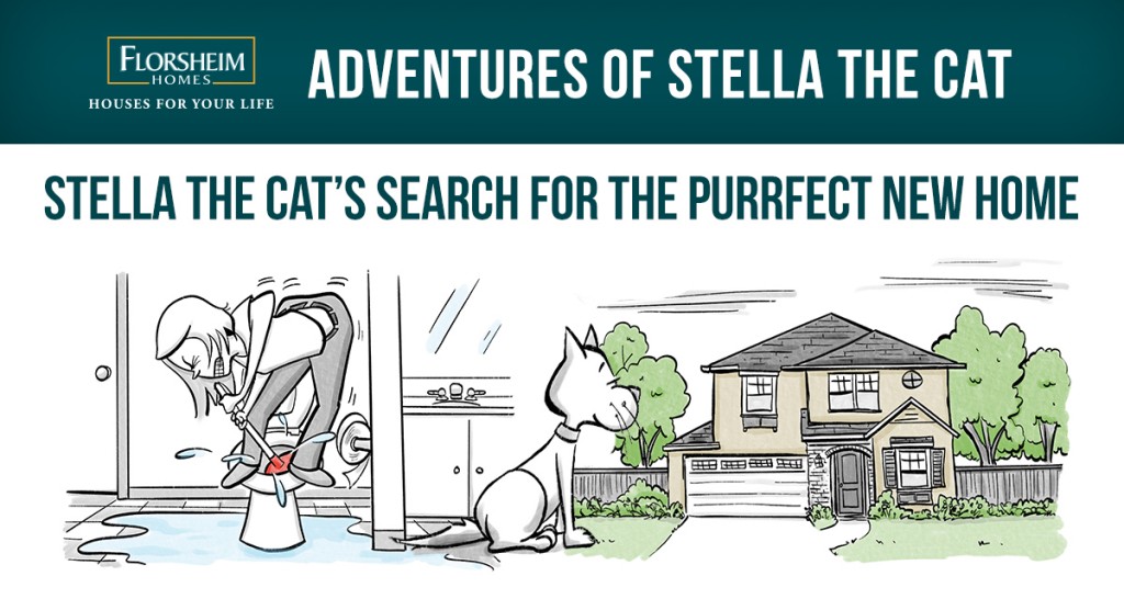 THE SEARCH FOR THE PURRFECT NEW HOME